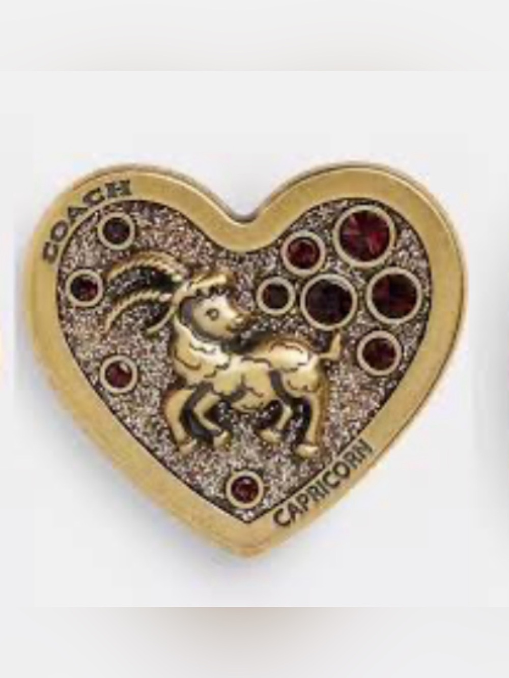 COACH Capricorn Zodiac Souvenir Pin — CBV67